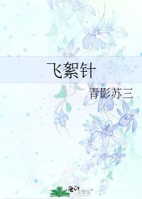 飞絮针
