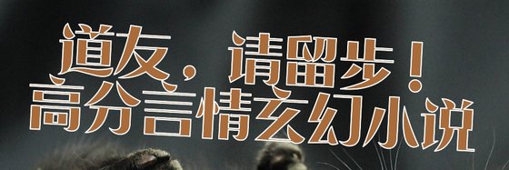 道友，请留步！高分言情玄幻小说